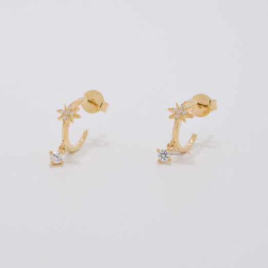 Venus Gold Earrings